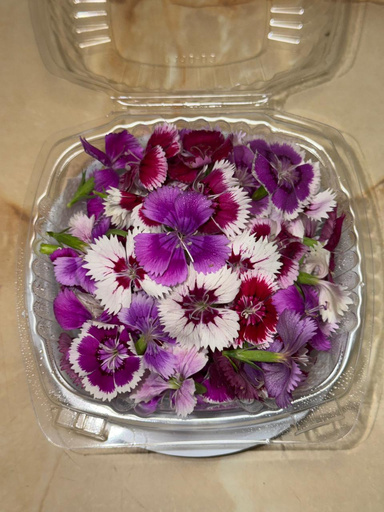 Flores comestibles