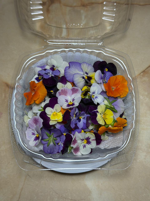 Flor de pensamientos comestible
