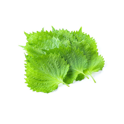 Hojas aromáticas