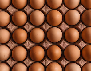 Productos de origen animal